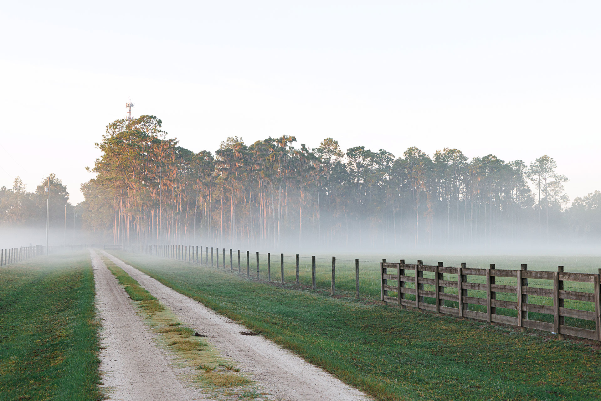 The Roberts Companies